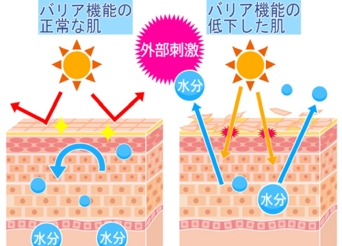 肌のバリア機能