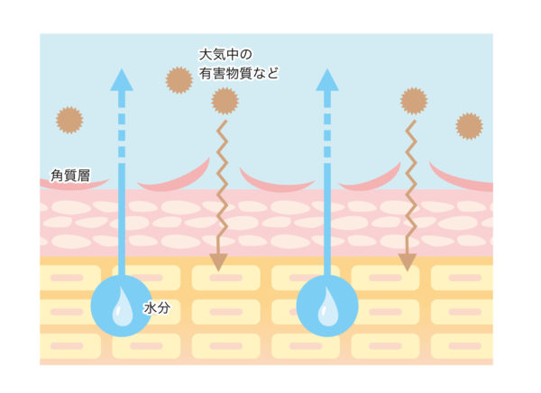 バリア機能が乱れた肌